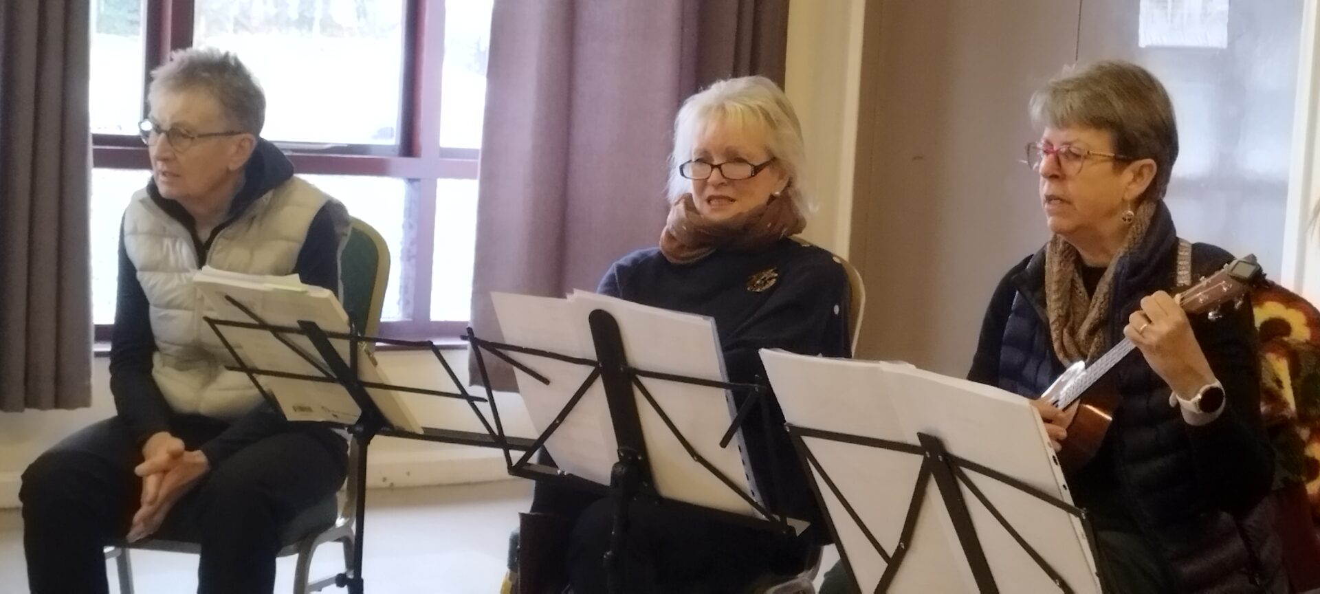A rendezvous with Gloucester u3a folk music group 4