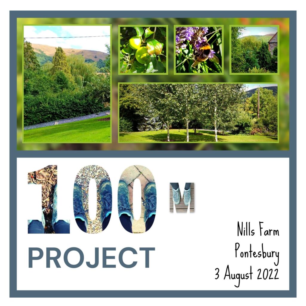 Project: Some photos from the 100m project