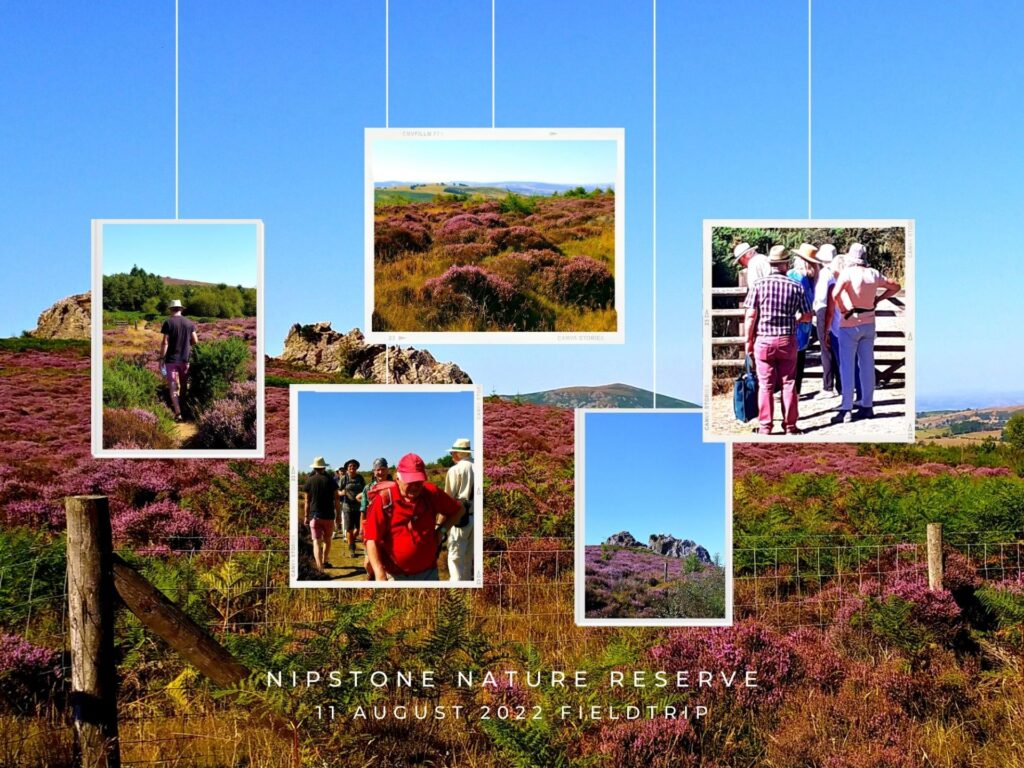 Project: Some photos from the Nipstone Nature Reserve